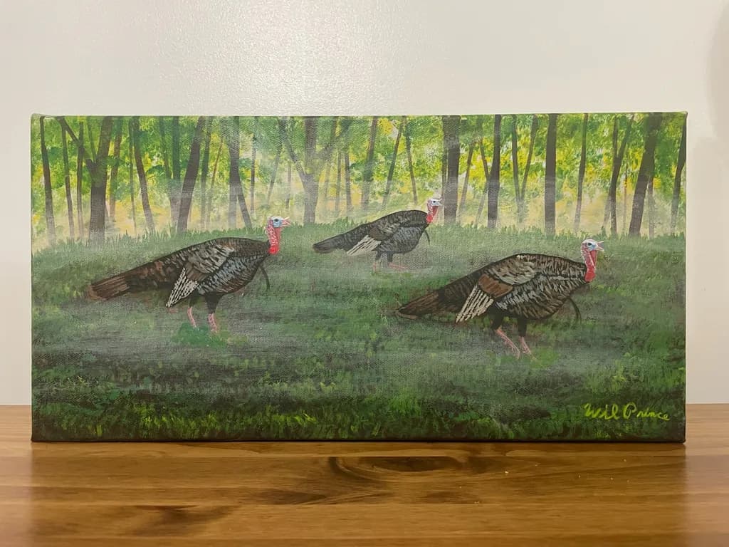 Wild Turkeys in Forest