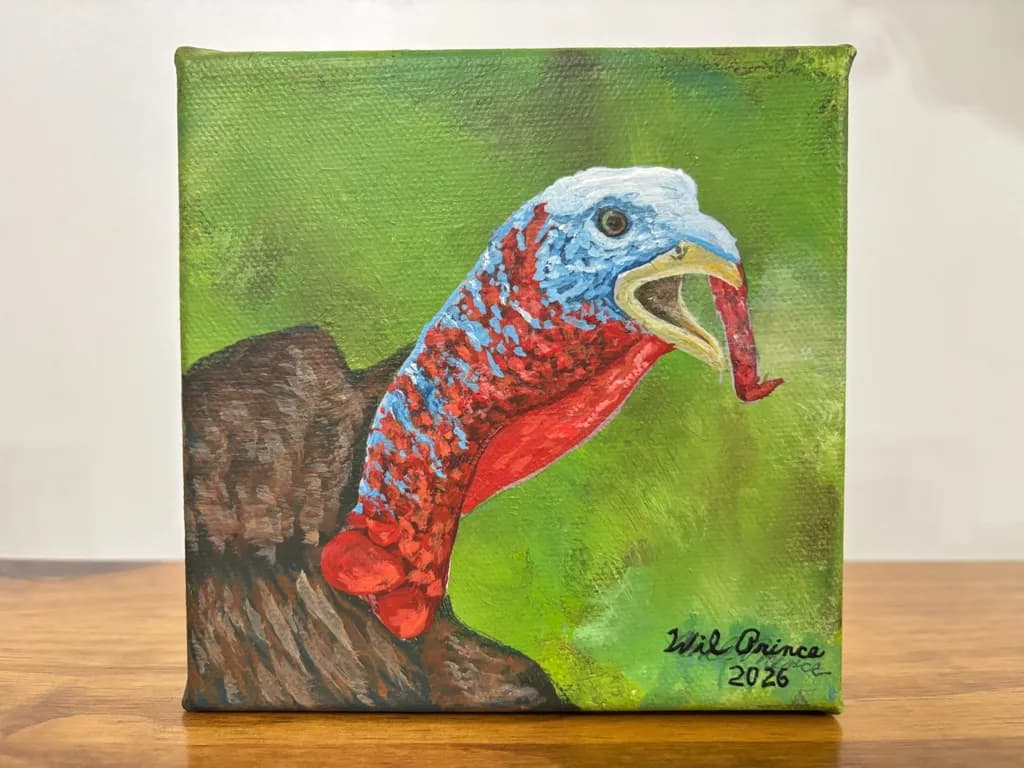 Turkey Portrait