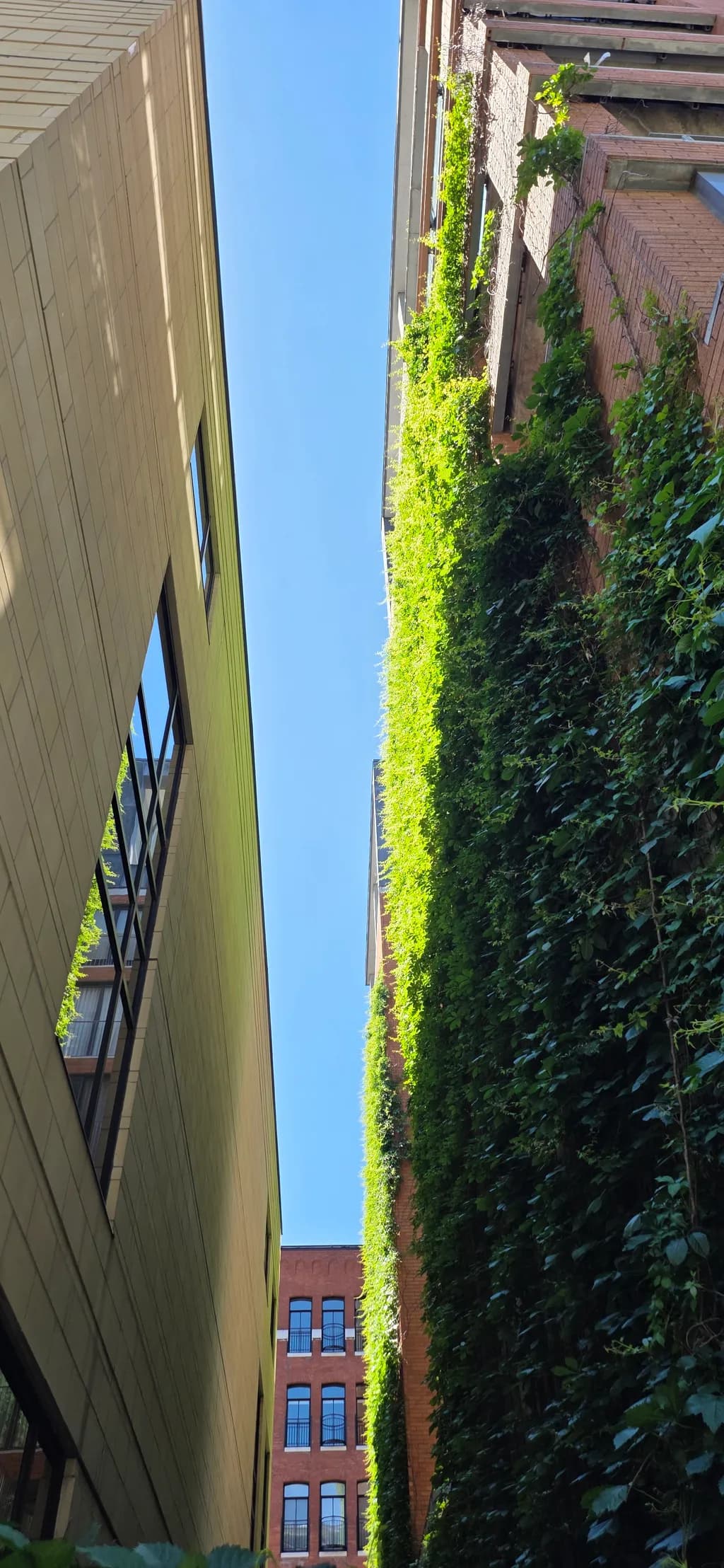 Urban Green Facade