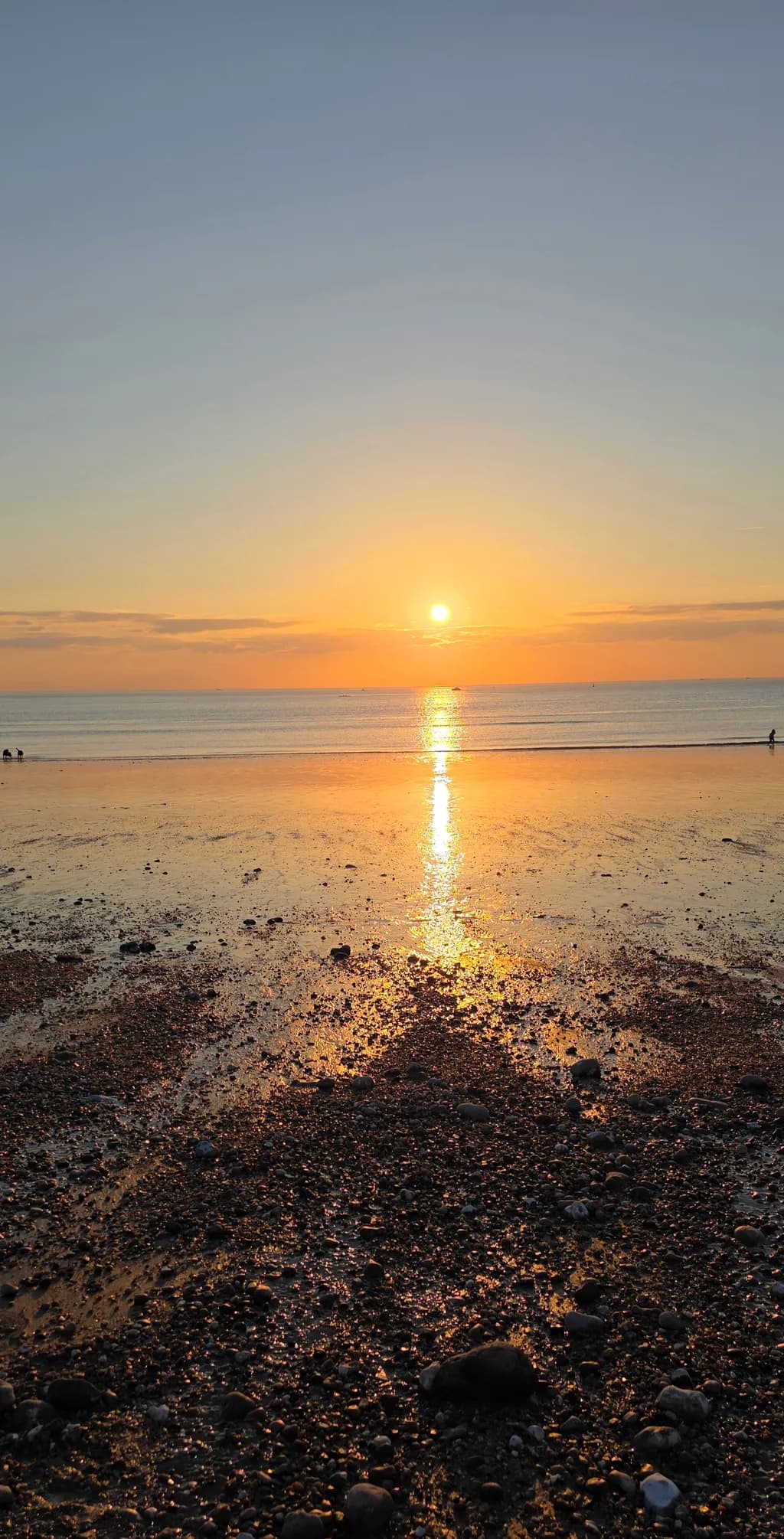 Sunset Reflection on Shore