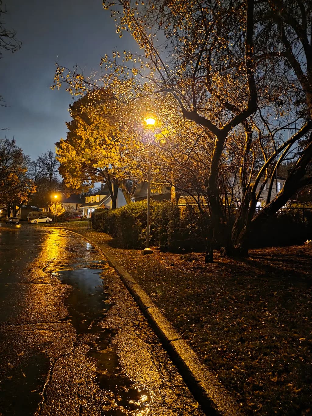 Wet Street at Night