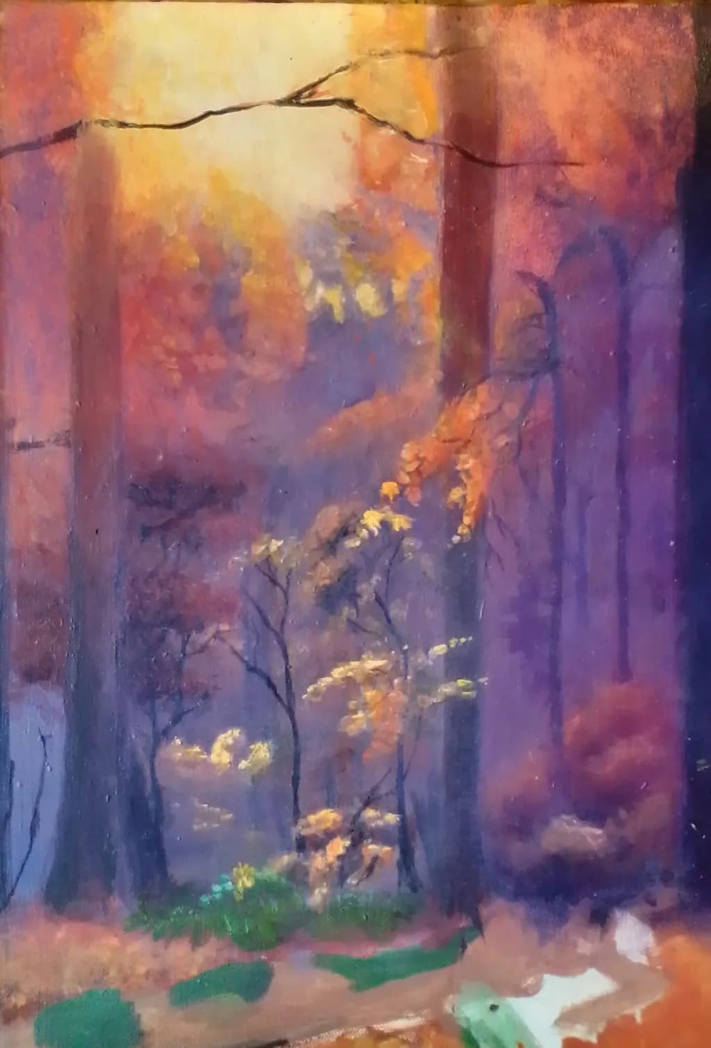 Forest Glow