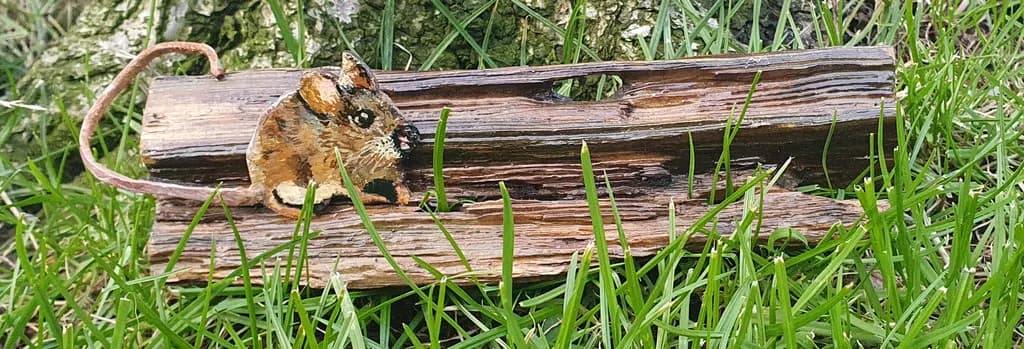 Mouse on Driftwood