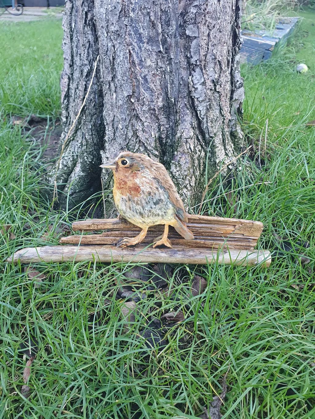 Bird on Driftwood
