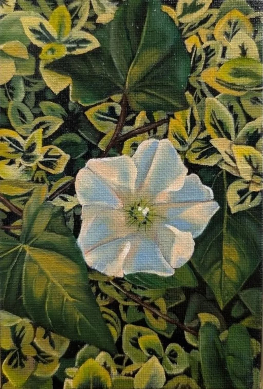 White Flower Among Leaves