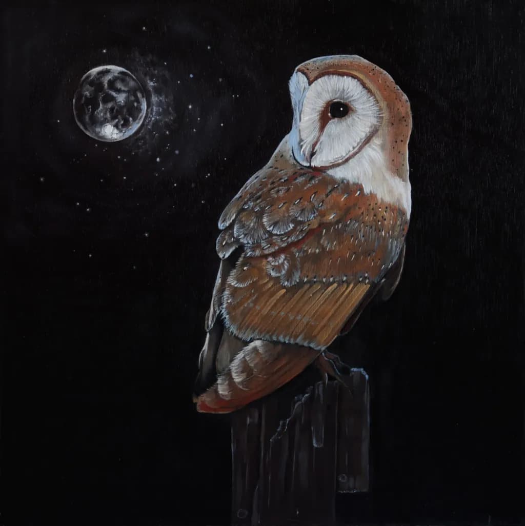 Owl and Moon Night