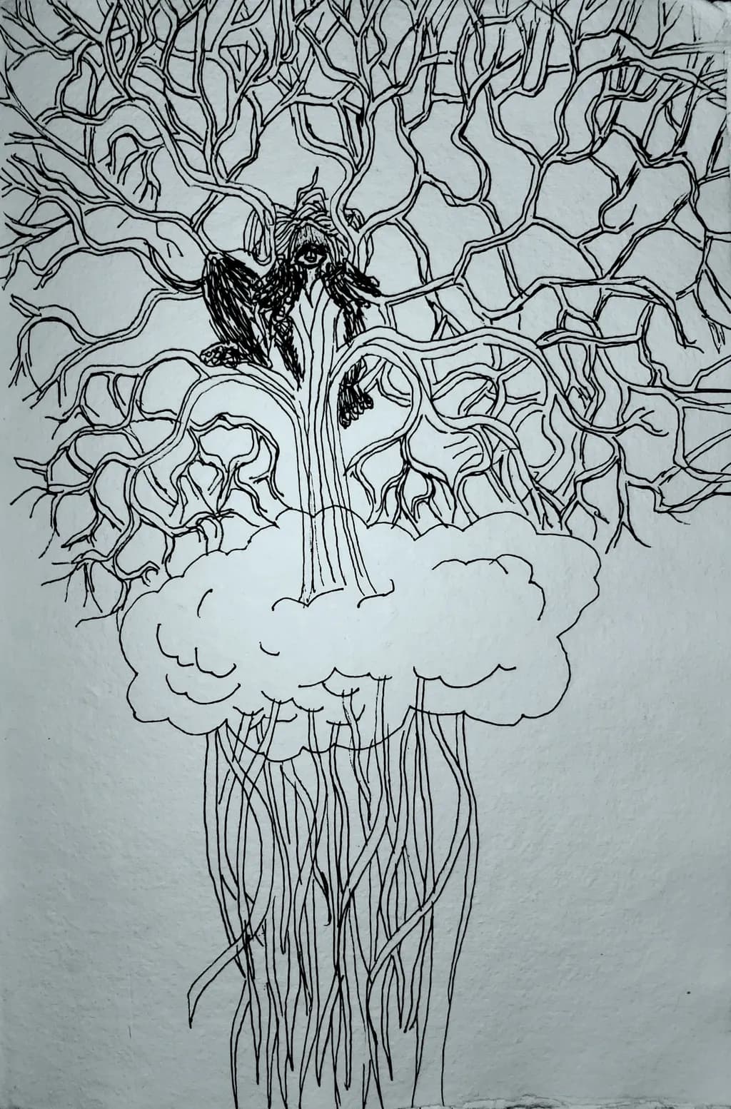 Tree Cloud Roots