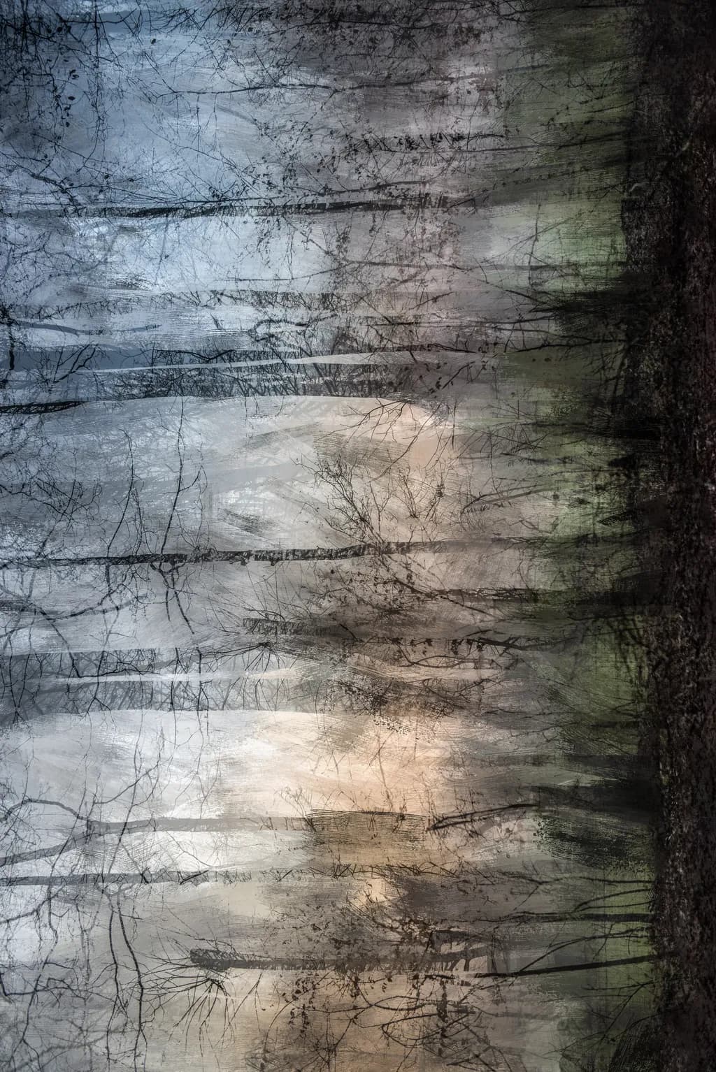 Dominique Genin Forest Scene