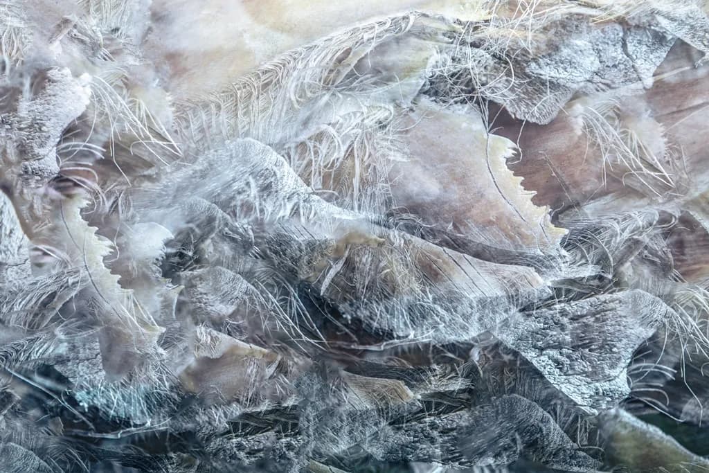 Beyond the Raging Wave