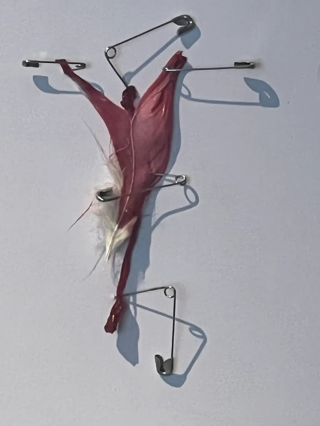Pinned Petal Figure