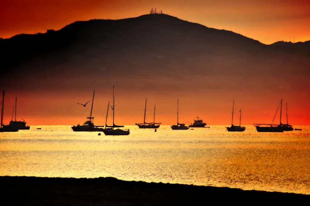 Sunset Harbor Boats