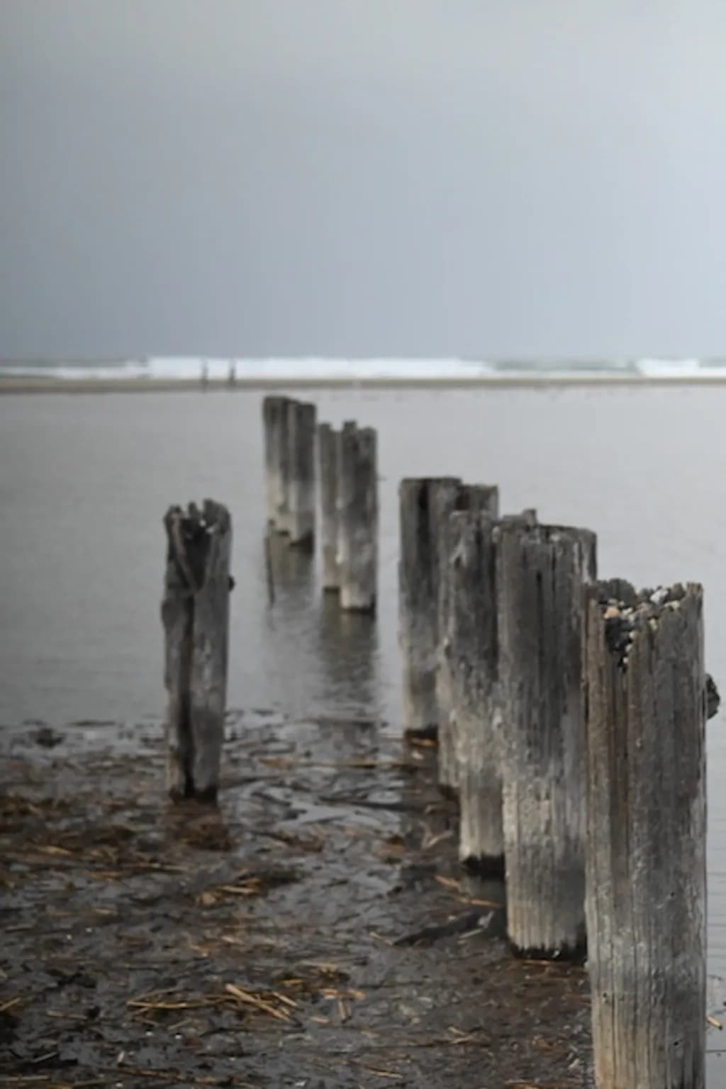 Weathered Wood Pier