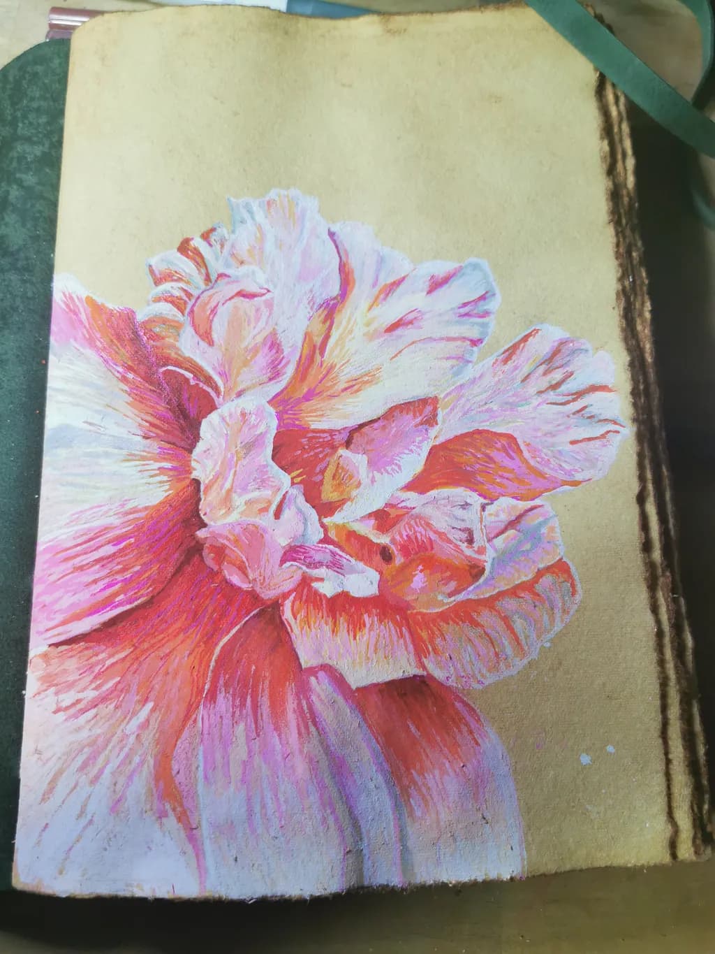 Floral Bloom