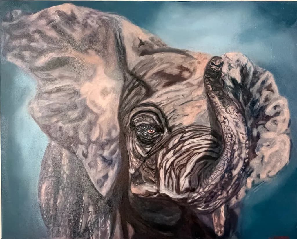 Elephant Gaze