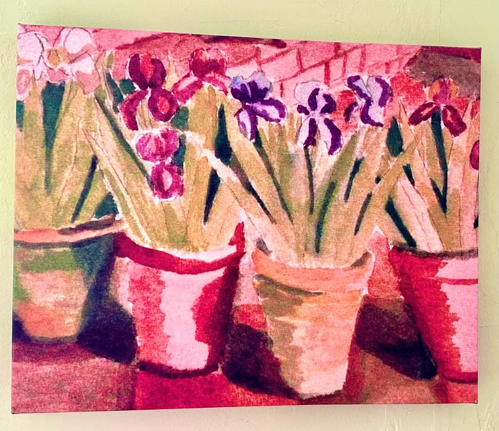 Iris Pots