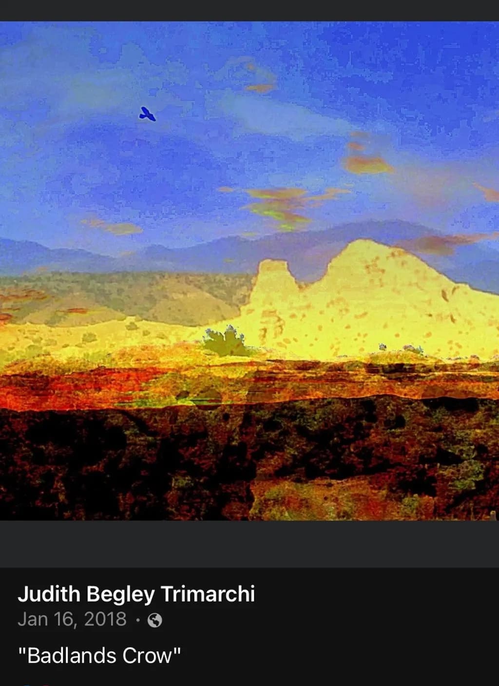Badlands Crow