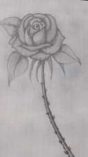 Original