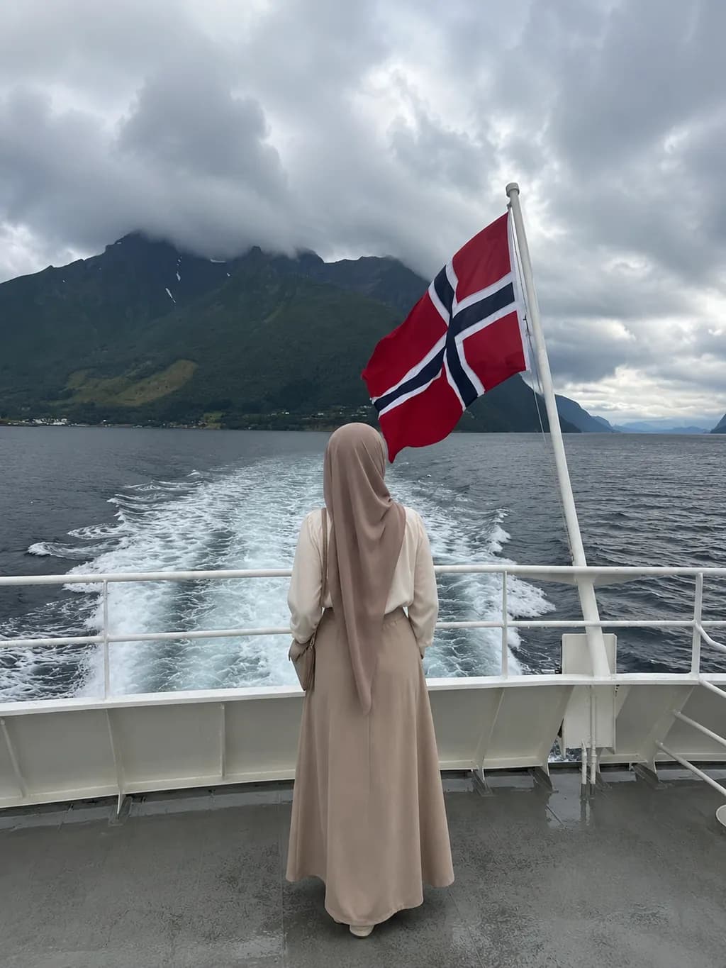 Norwegian Fjord Journey