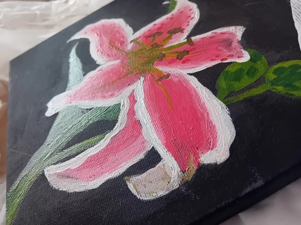 Pink Lily on Black Canvas