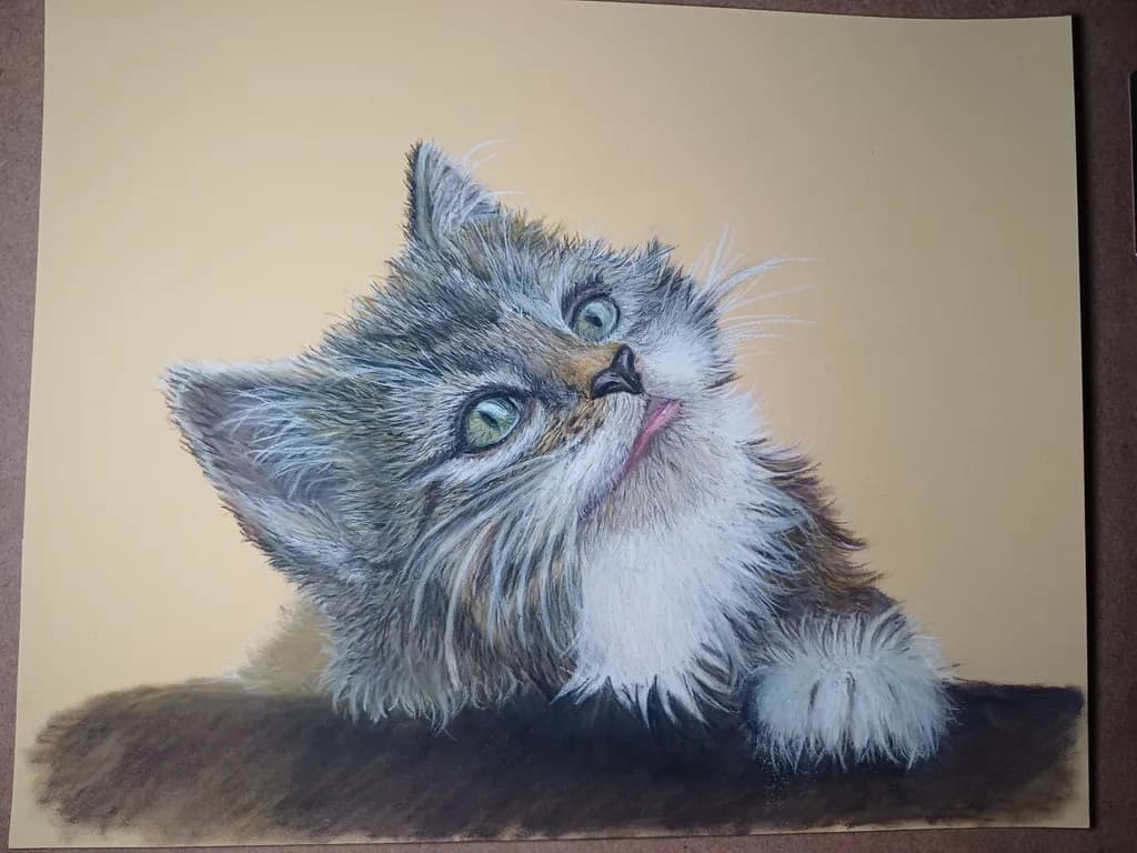 Curious Cat Portrait
