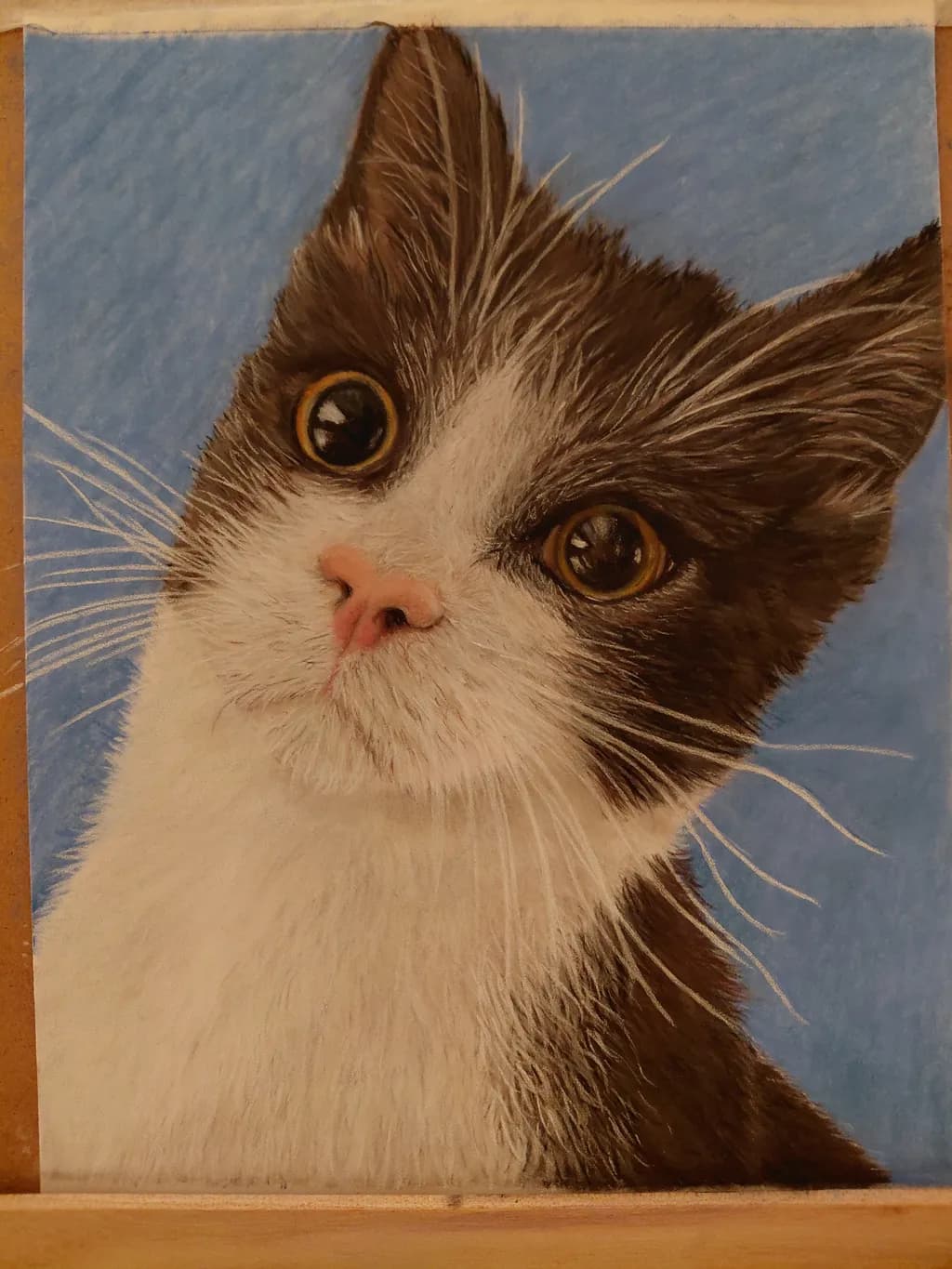 Cat Portrait