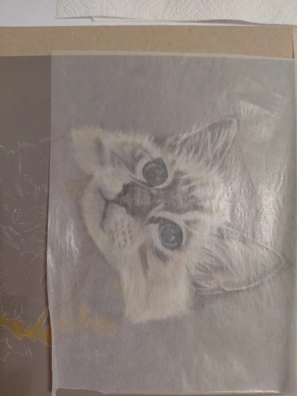 Cat Portrait