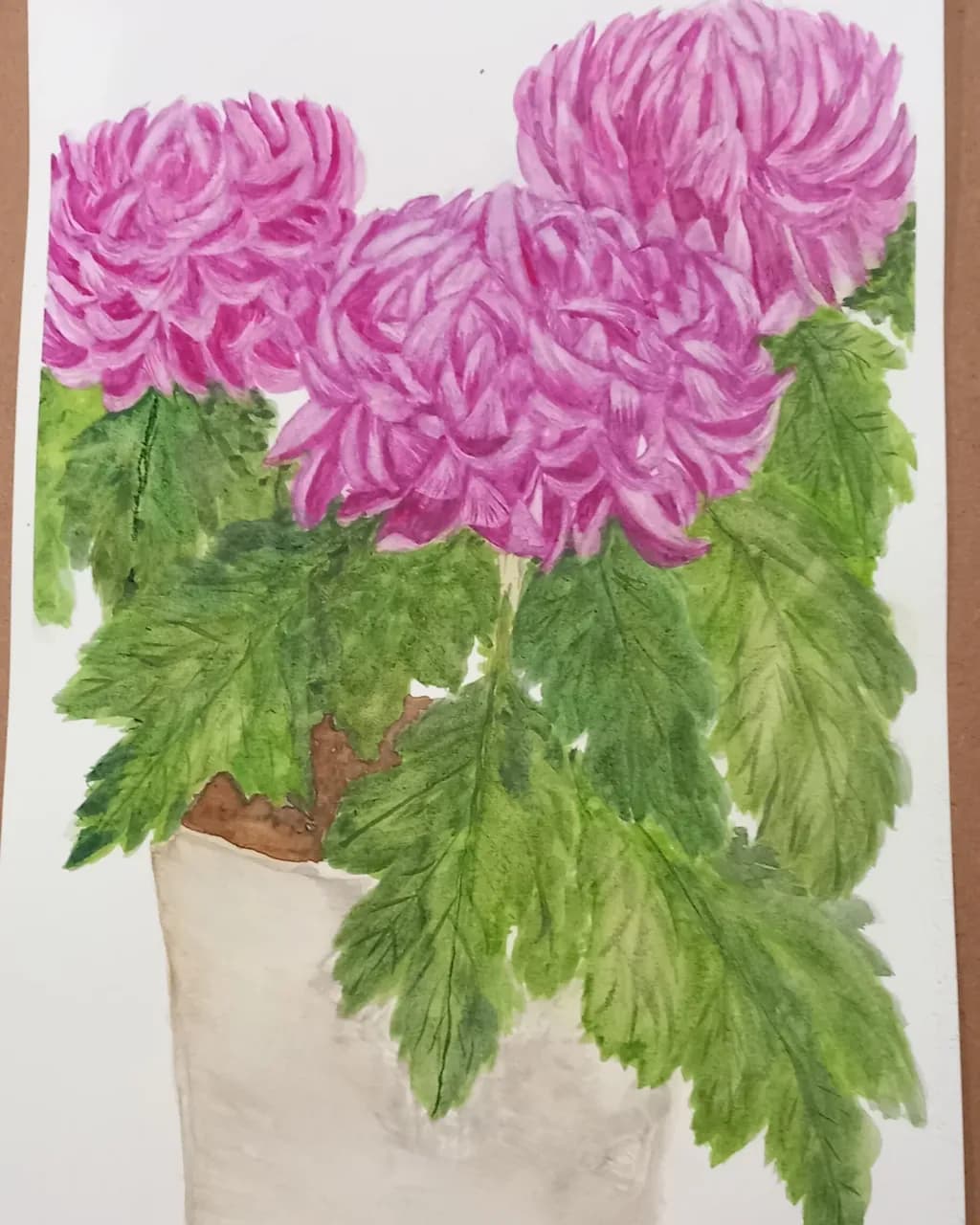 Pink Chrysanthemum Pot