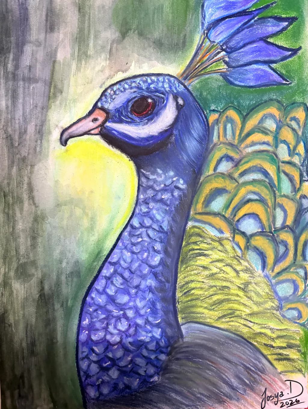 Peacock Portrait
