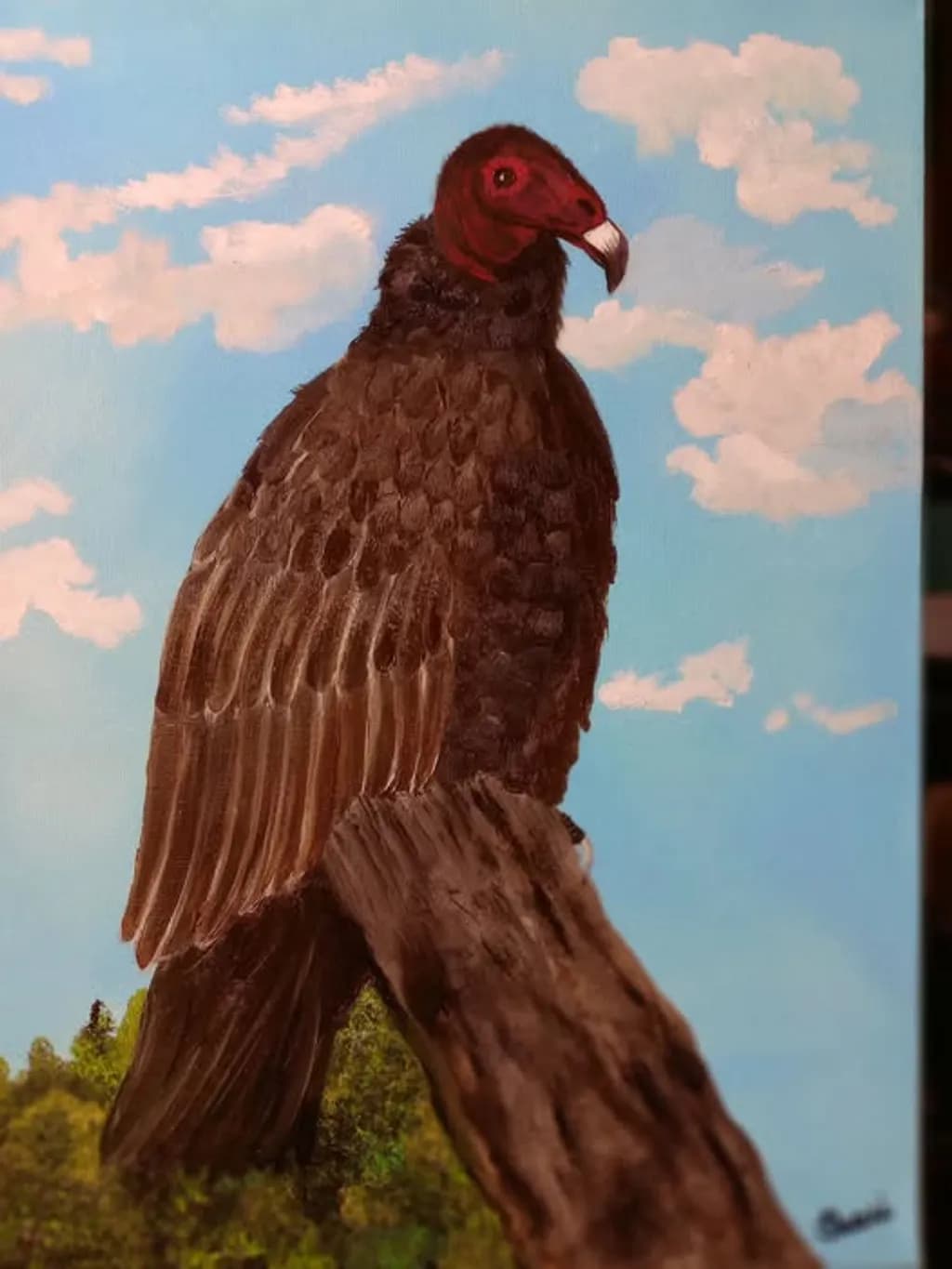 Vulture on Branch