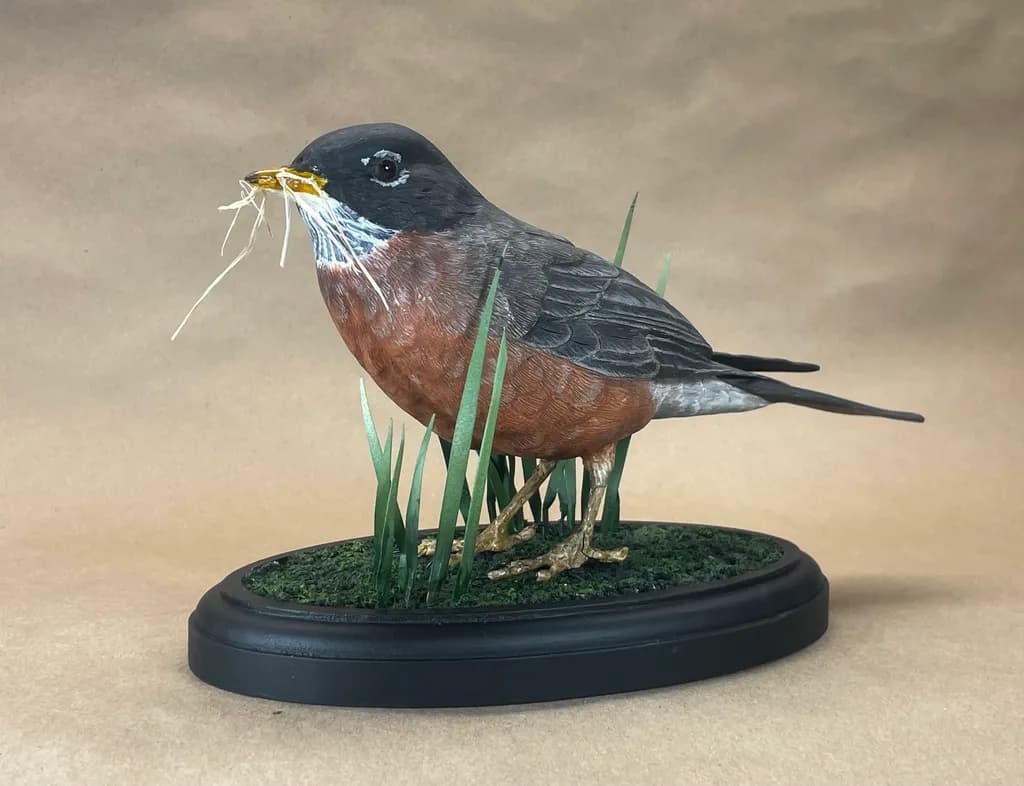 Robin Nesting Display