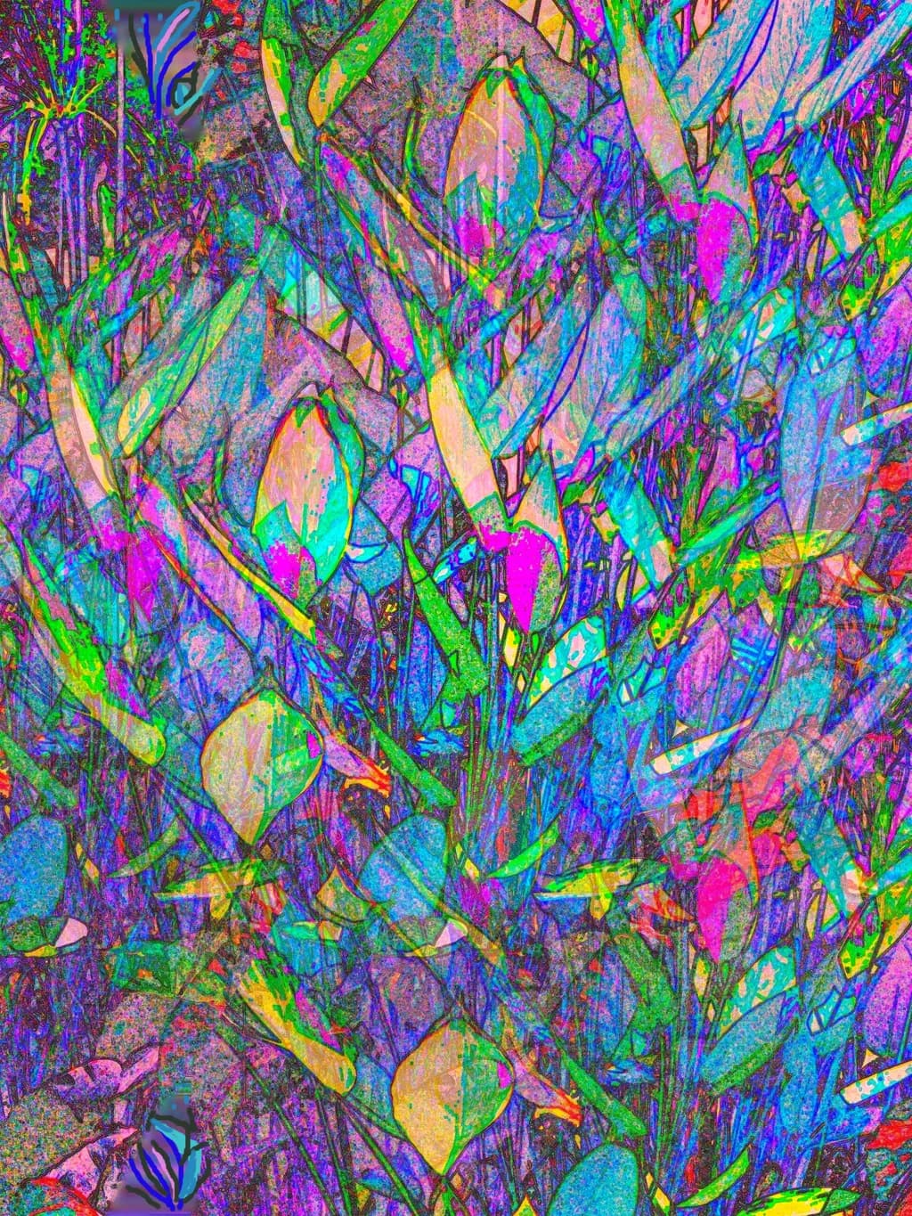 Paintography Enhanced