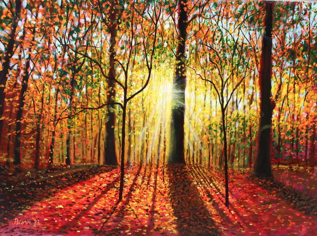 Komorebi #2 Forest Light