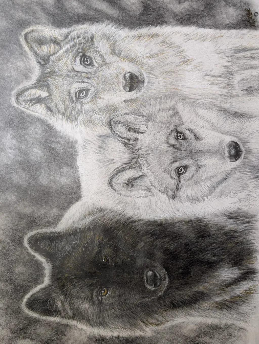 Trio of Wolves