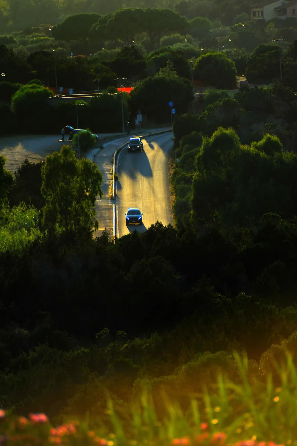 Inbound Road Through Trees