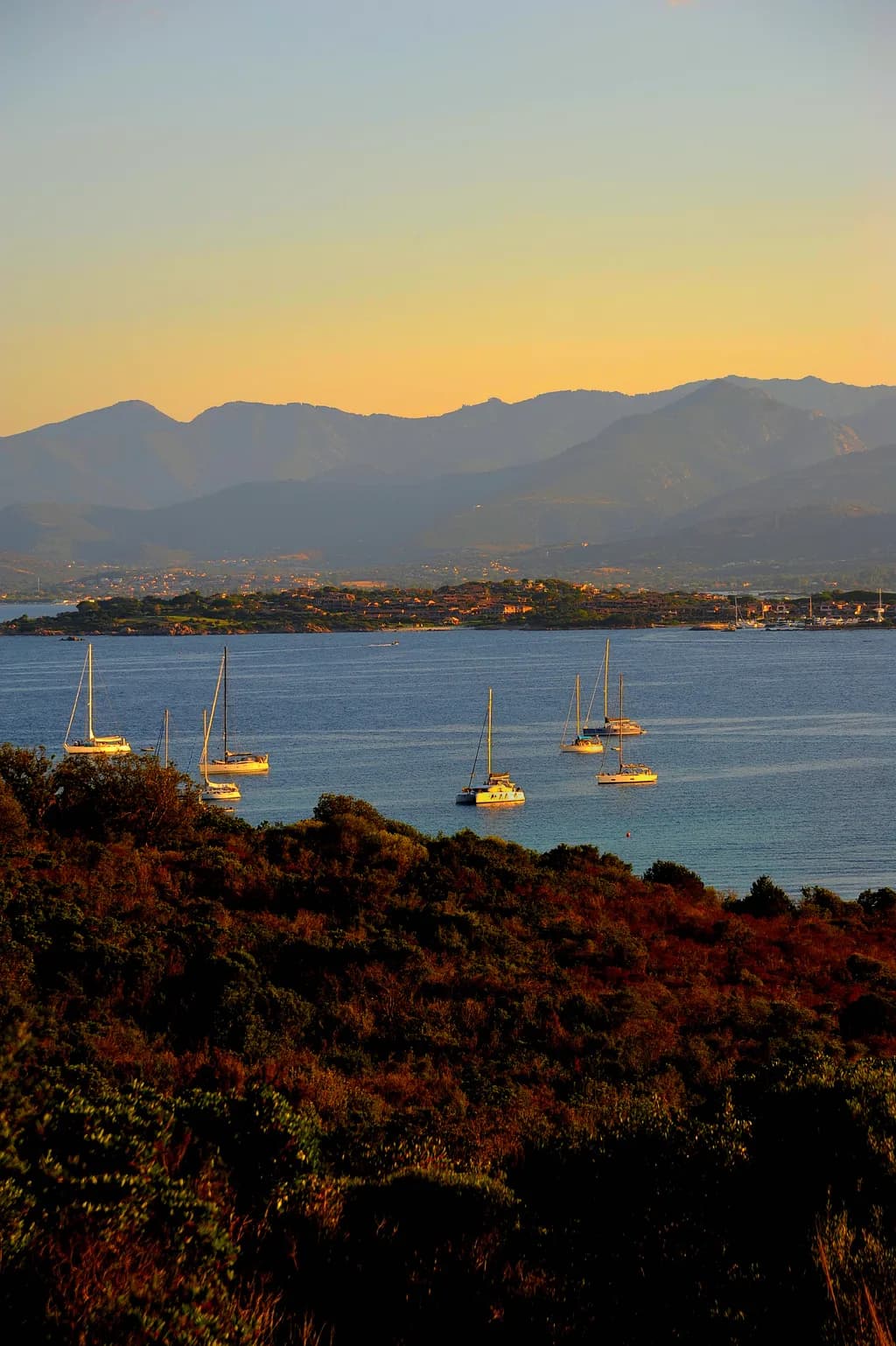 Coastal Bay Sailing