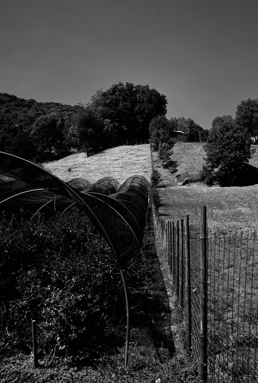 Agricultural Tunnels and Hillside Fence
