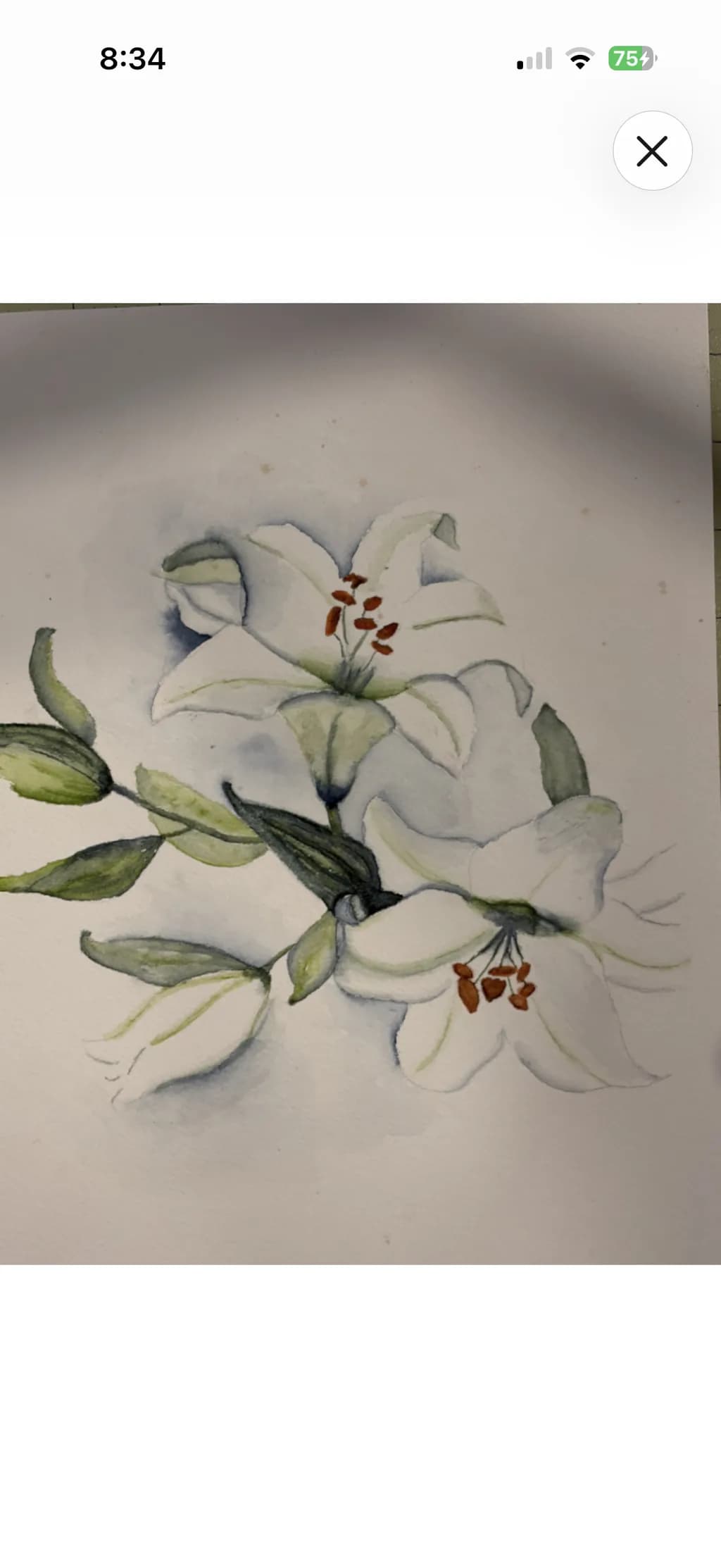 White Lilies Study