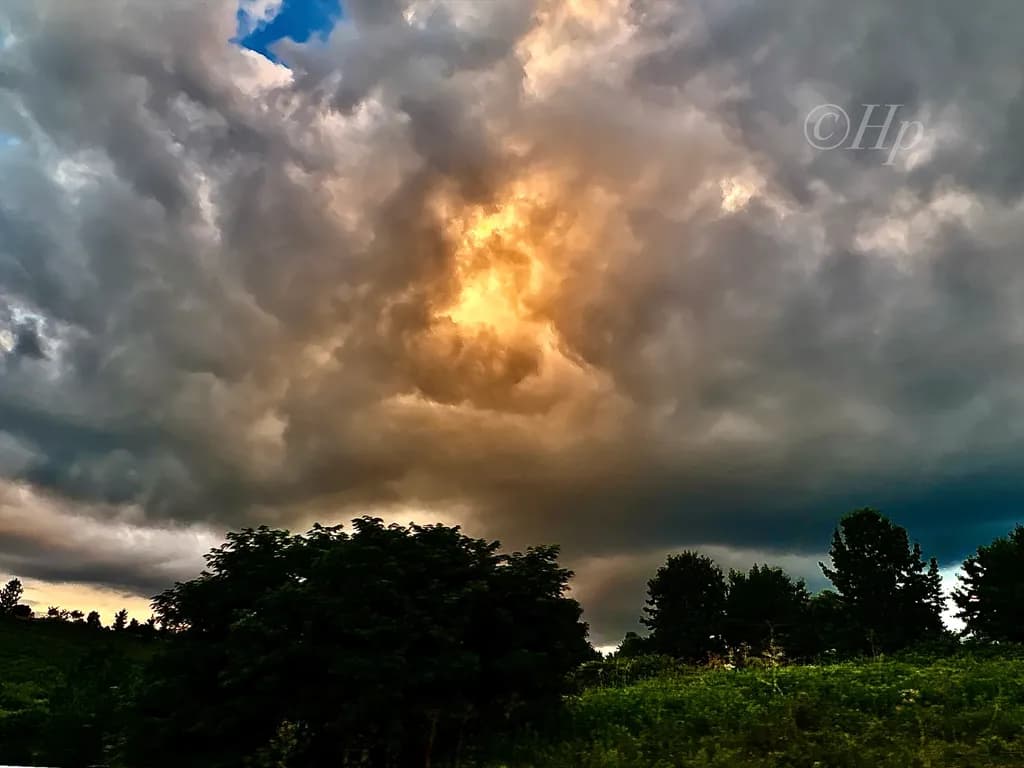 Dramatic Sky Over Trees