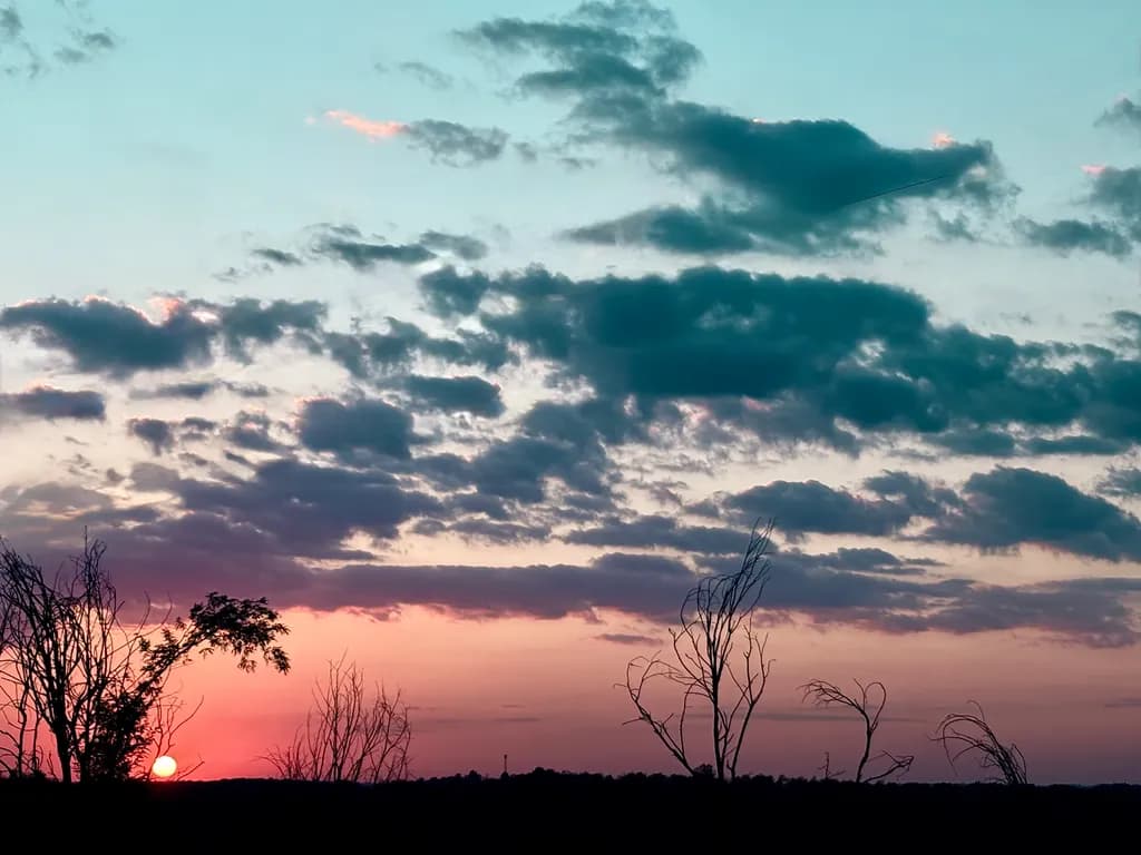 Sunset Trees Silhouette