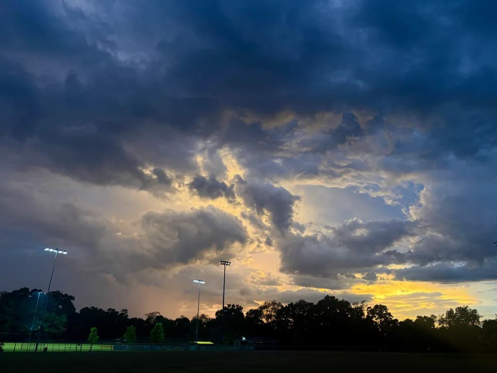 Sunset Sky and Trees