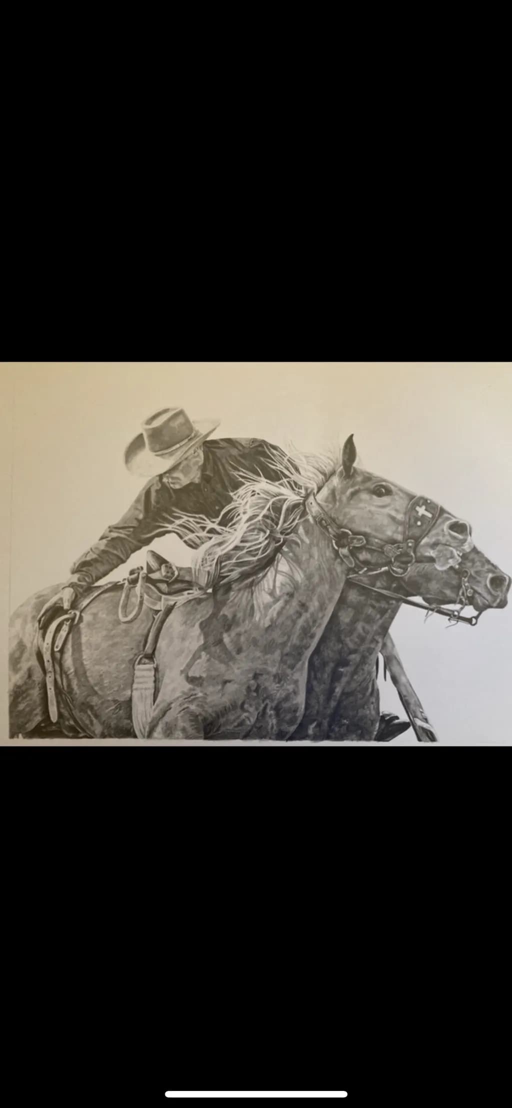 Rodeo Rider and Horse