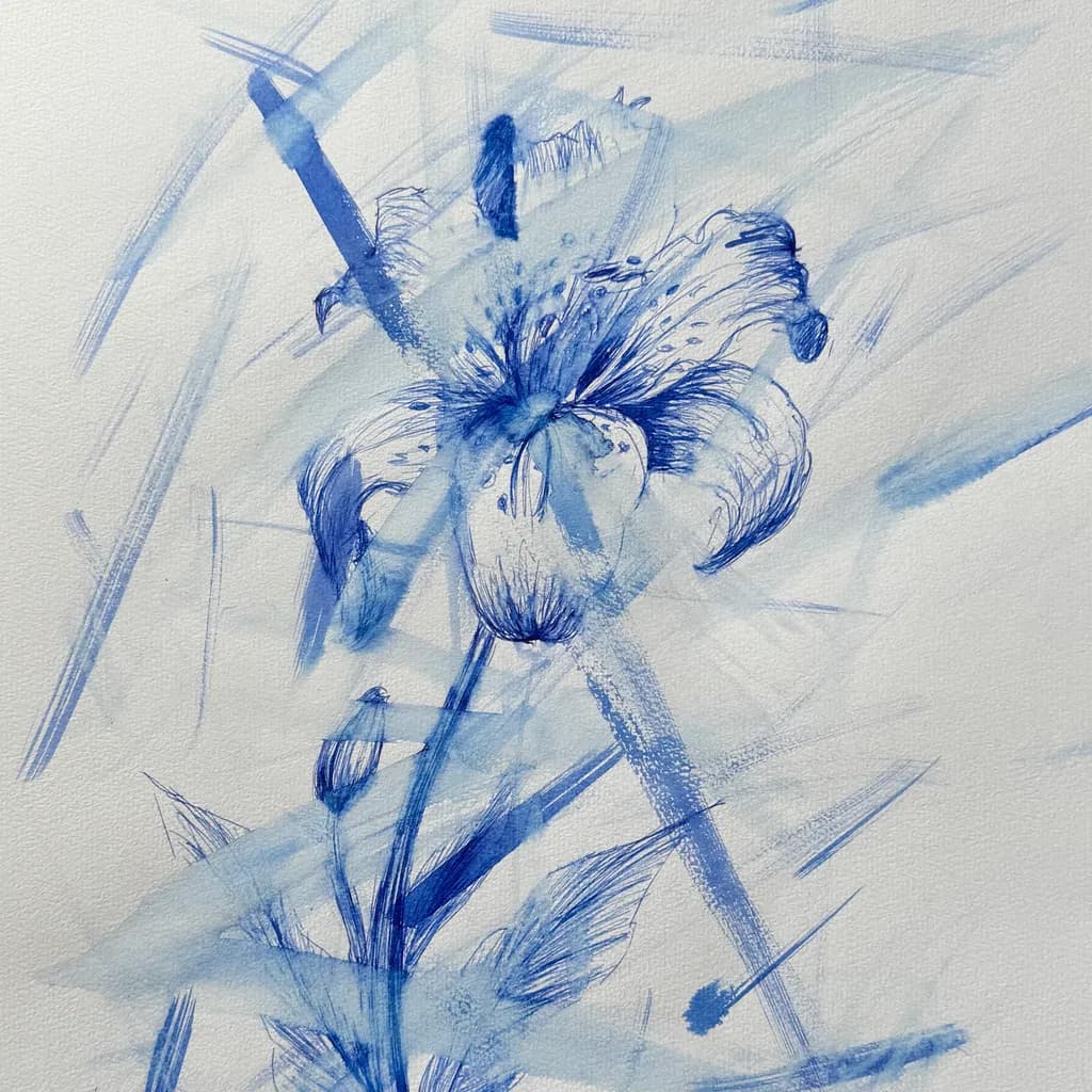 Blue Lily Sketch