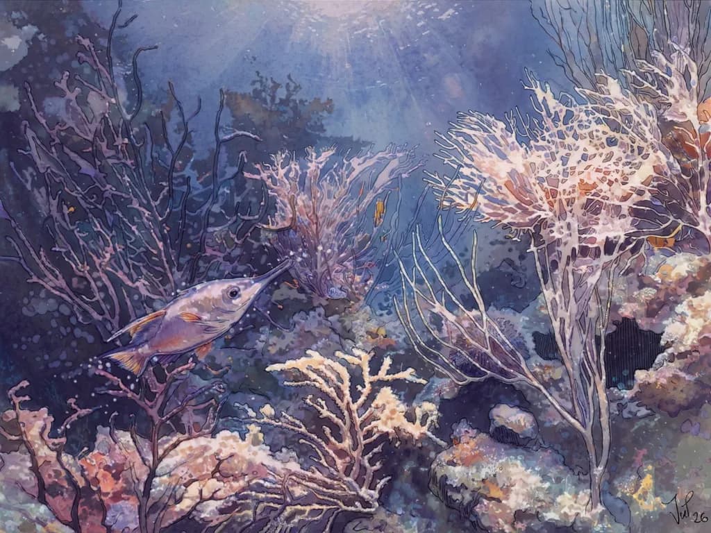 Superposition Reef Scene