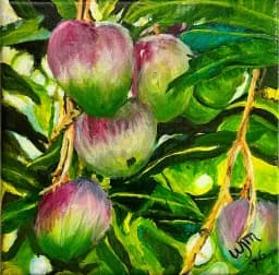 Mango Cluster