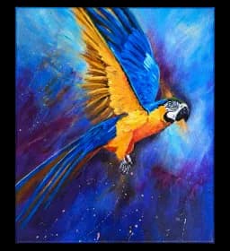 Macaw Takes Flight