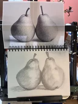Two Pears in Pencil