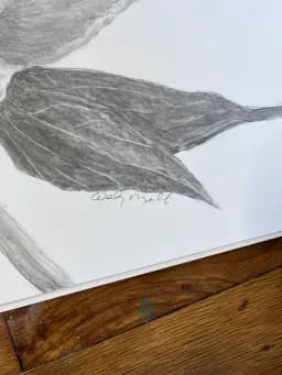 Charcoal Leaf Study