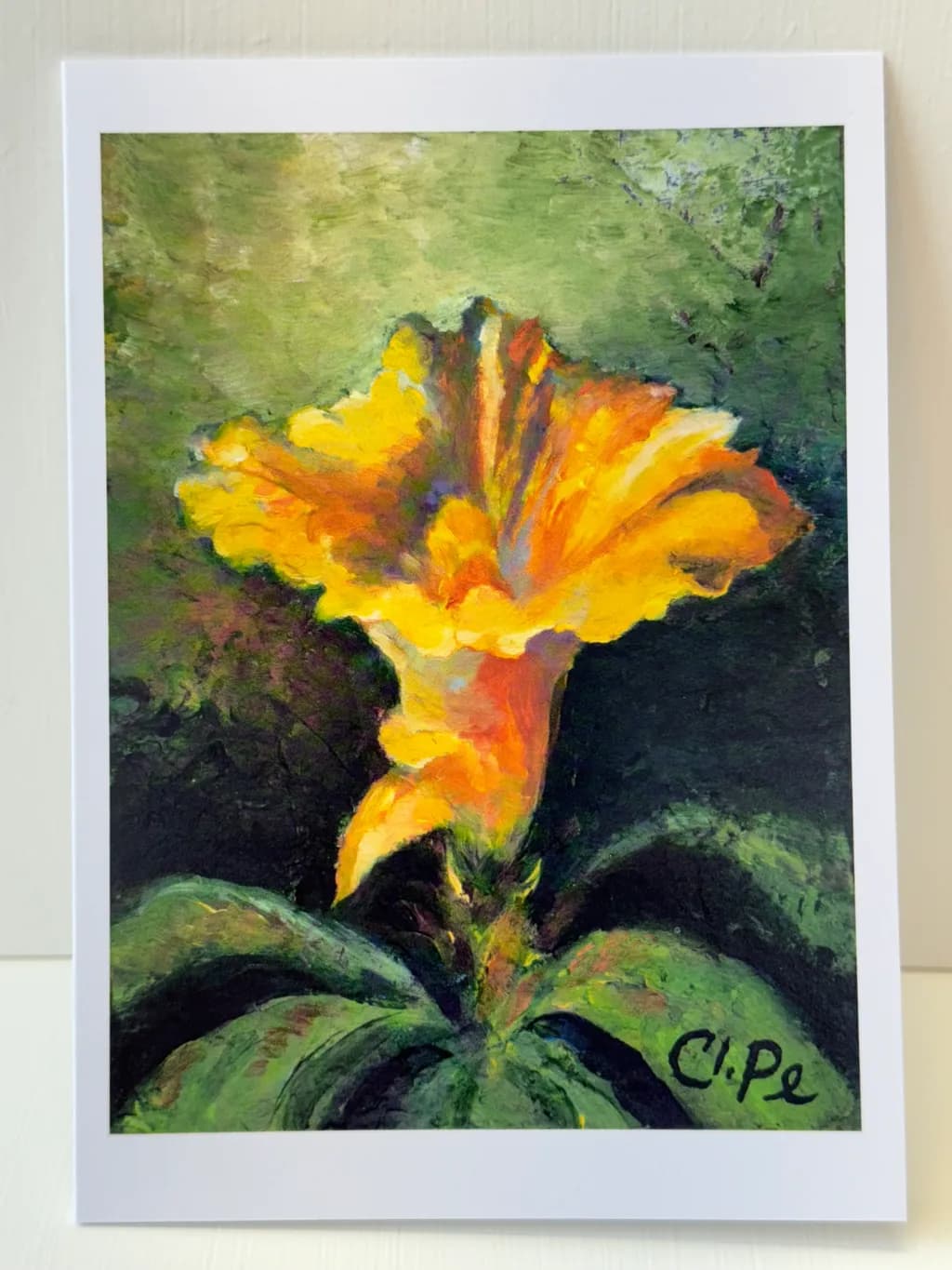 Yellow Flower Bloom