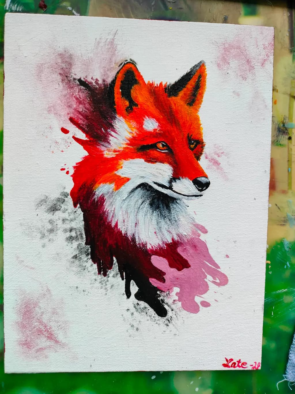 Fox Portrait Burst
