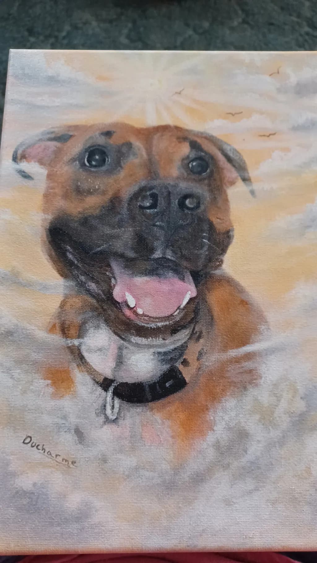Joyful Dog Portrait
